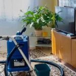 Úklid v obývacím pokoji s rostlinou.