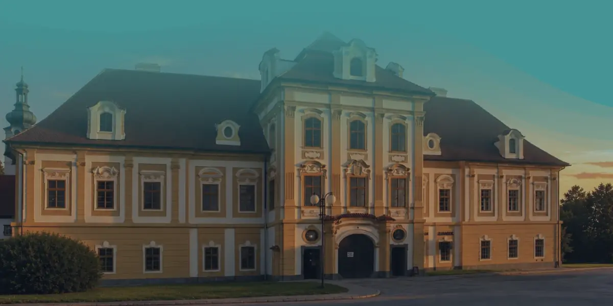 Tepování sedaček a koberců Borovany